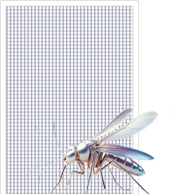 Стандартная