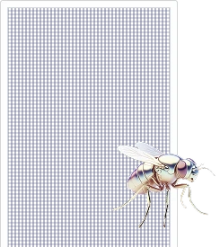 Антимошка